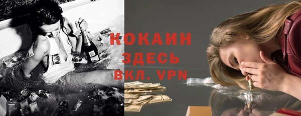 дживик Бронницы