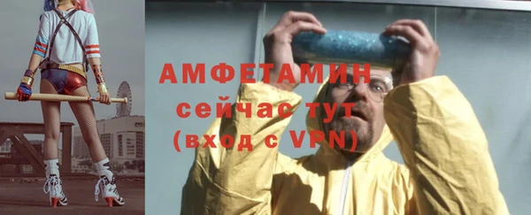 дживик Бронницы