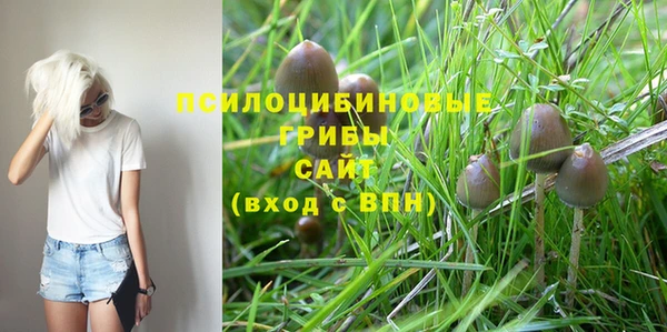прущая мука Бородино