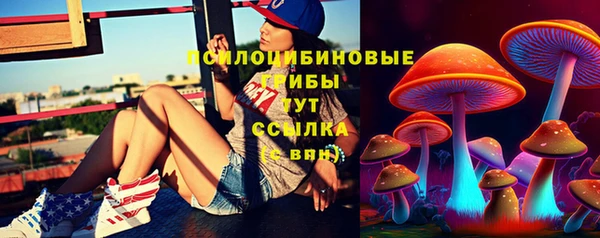 прущая мука Бородино