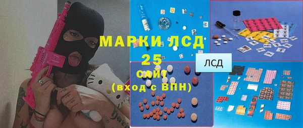 дживик Бронницы