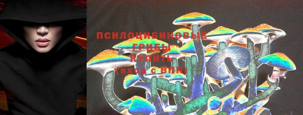 прущая мука Бородино