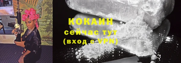 дживик Бронницы